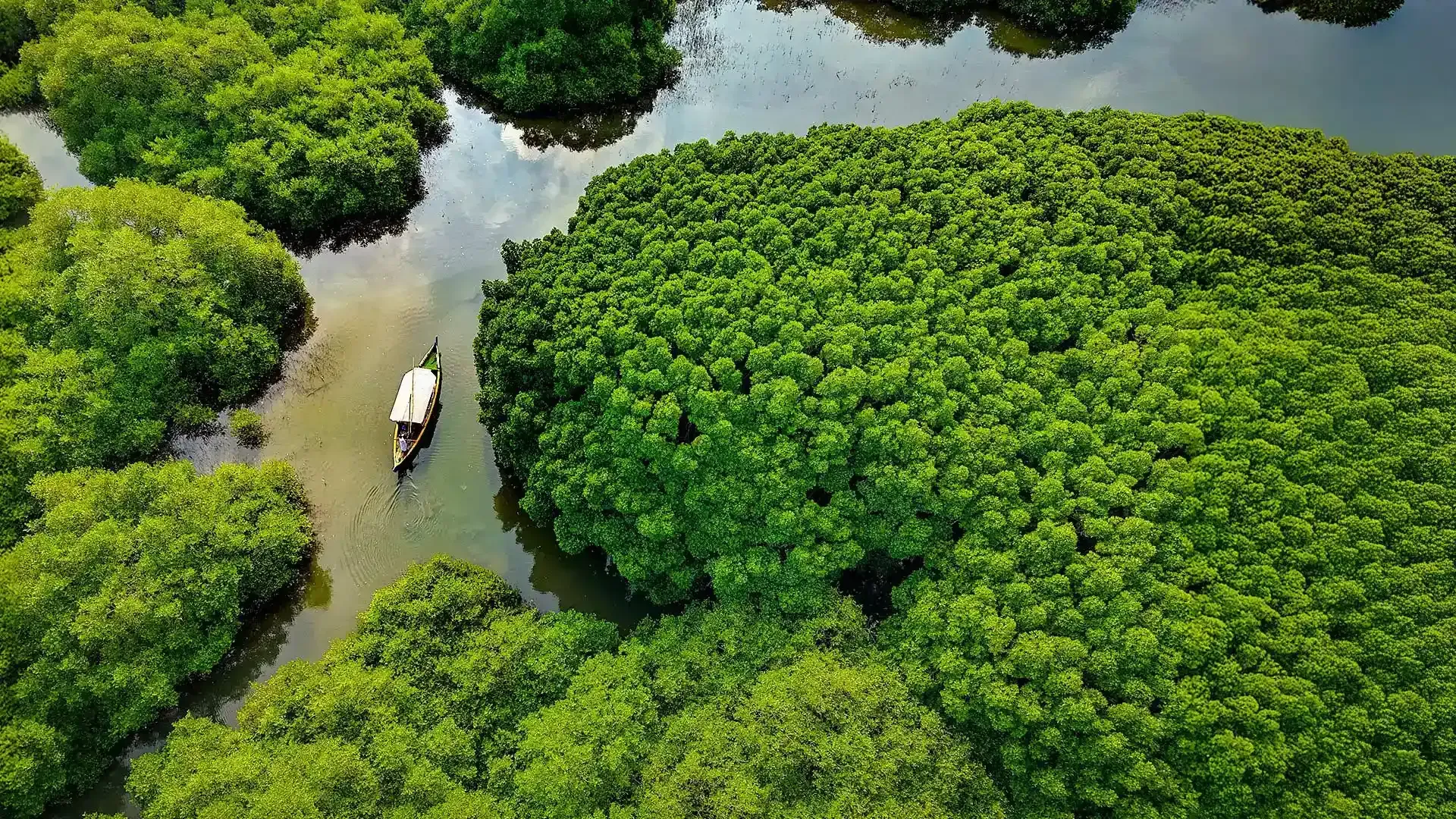 Mangalavanam Bird Sanctuary